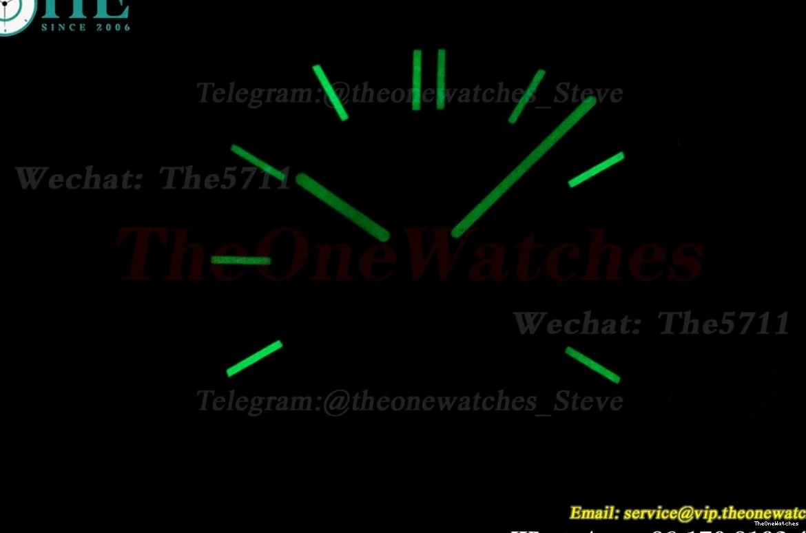 PPF SS White 40mm White 5980 SS Nautilus A28-520 0213